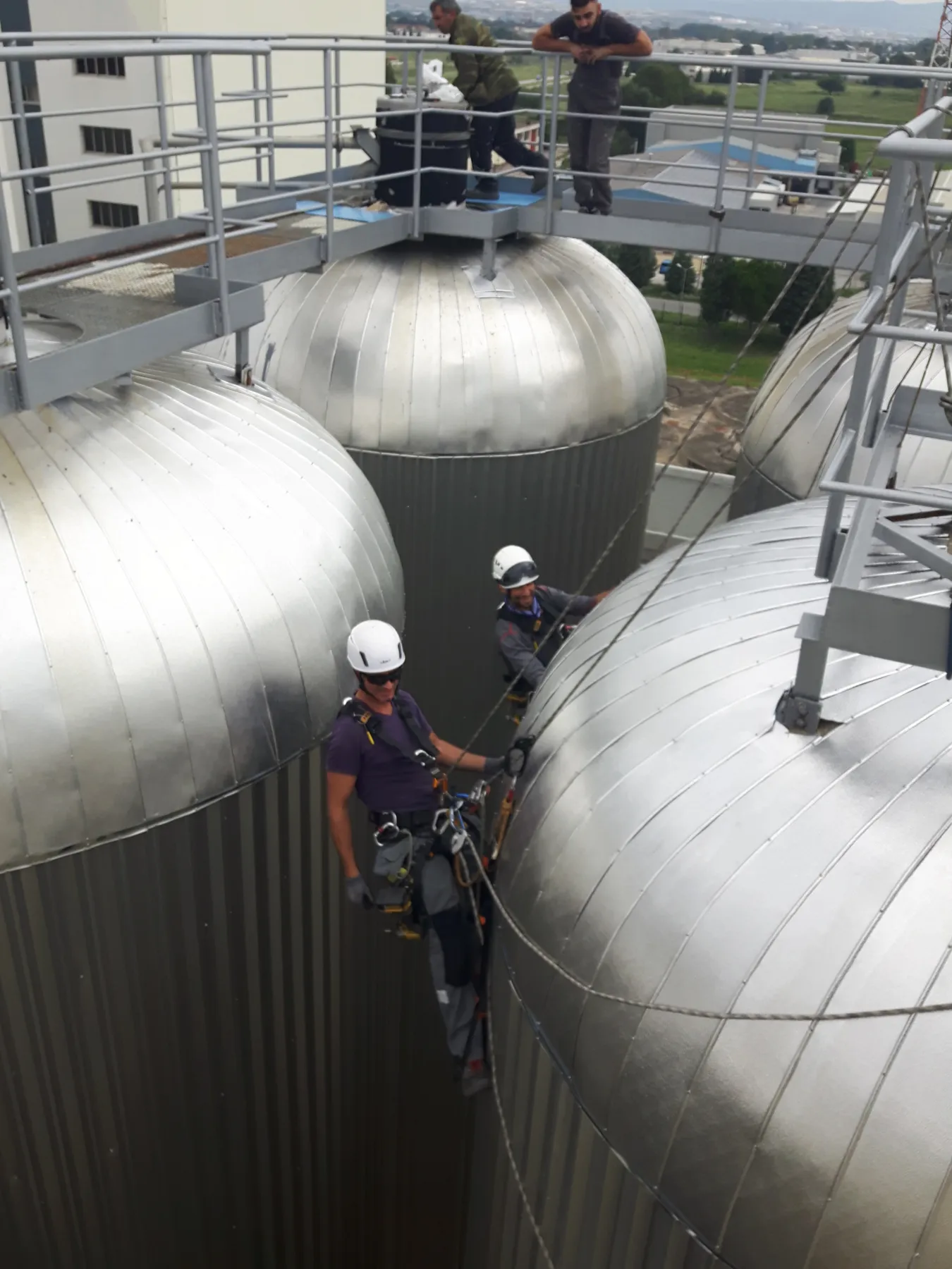 Food Industry 40 Silos Repair & Metal Sheets Installation